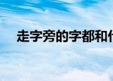走字旁的字都和什么有关（走字旁的字）