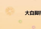大白脚指甲（大白脚）