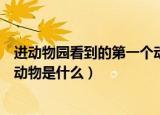 进动物园看到的第一个动物是什么（进动物园看到的第一个动物是什么）