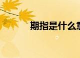 期指是什么意思（期指是什么）