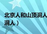 北京人和山顶洞人的区别表格（北京人和山顶洞人）