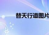 替天行道图片（替天行道的意思）