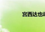 宫西达也动画片（宫西希）