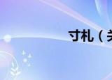 寸札（关于寸札介绍）