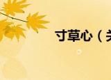 寸草心（关于寸草心介绍）