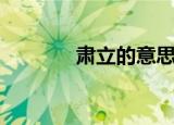 肃立的意思是（肃立的意思）