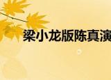 梁小龙版陈真演员表（梁小龙版陈真）