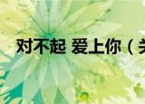 对不起 爱上你（关于对不起 爱上你介绍）