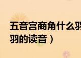 五音宫商角什么羽怎么读（五音 角 微 宫 商 羽的读音）