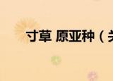 寸草 原亚种（关于寸草 原亚种介绍）