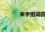 来字组词田字格（来字组词）