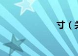 寸（关于寸介绍）