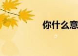 你什么意思从宫里挥刀？