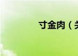 寸金肉（关于寸金肉介绍）
