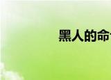 黑人的命也是命什么意思