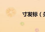寸发标（关于寸发标介绍）