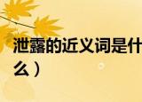 泄露的近义词是什么新闻（泄露的近义词是什么）