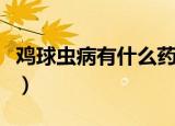 鸡球虫病有什么药治疗（鸡球虫病有什么症状）