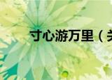 寸心游万里（关于寸心游万里介绍）