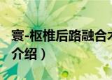 寰-枢椎后路融合术（关于寰-枢椎后路融合术介绍）