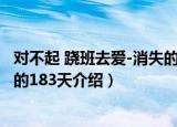 对不起 跷班去爱-消失的183天（关于对不起 跷班去爱-消失的183天介绍）
