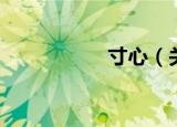 寸心（关于寸心介绍）