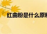 红曲粉是什么原料做的（红曲粉是什么）