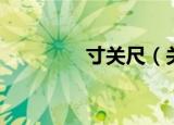 寸关尺（关于寸关尺介绍）