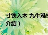 寸铁入木 九牛难拔（关于寸铁入木 九牛难拔介绍）