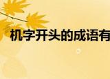 机字开头的成语有哪些（机字开头的成语）