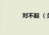 对不起 （关于对不起 介绍）