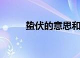 蛰伏的意思和意义（蛰伏的意思）