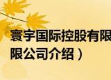 寰宇国际控股有限公司（关于寰宇国际控股有限公司介绍）