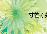 寸芒（关于寸芒介绍）