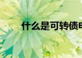 什么是可转债申购（什么是可转债）