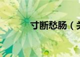 寸断愁肠（关于寸断愁肠介绍）