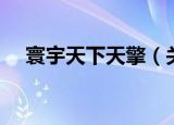 寰宇天下天擎（关于寰宇天下天擎介绍）