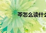 芩怎么读什么意思（芩怎么读）