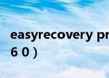 easyrecovery professional（easyrecover6 0）