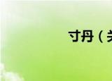 寸丹（关于寸丹介绍）
