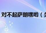 对不起萨朗嘿哟（关于对不起萨朗嘿哟介绍）