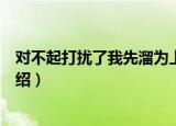 对不起打扰了我先溜为上（关于对不起打扰了我先溜为上介绍）