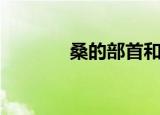 桑的部首和组词（桑的部首）