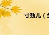 寸劲儿（关于寸劲儿介绍）