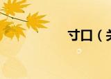 寸口（关于寸口介绍）