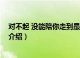 对不起 没能陪你走到最后（关于对不起 没能陪你走到最后介绍）