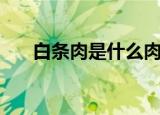白条肉是什么肉（白条肉是什么意思）