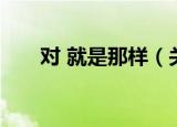 对 就是那样（关于对 就是那样介绍）