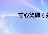 寸心笑傲（关于寸心笑傲介绍）