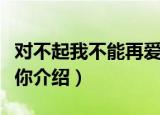 对不起我不能再爱你（关于对不起我不能再爱你介绍）